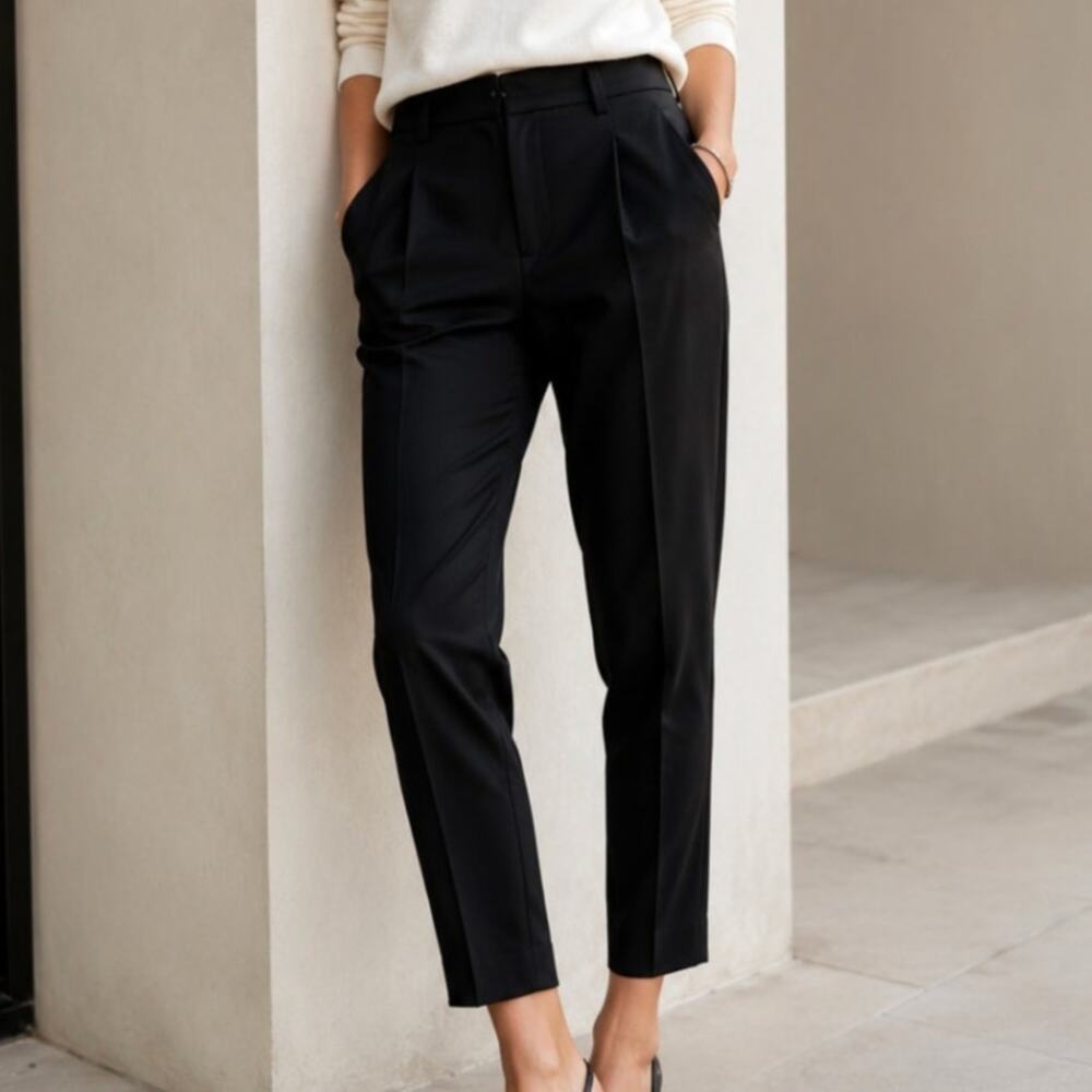 IRO Delwyn Wool Blend  Ankle Pants Lined Black Size 40 Designer Quiet Luxury
